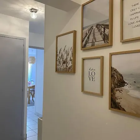 Grand T2 Proche De La Plage Avec Terrasse Ensoleillee Appartamento